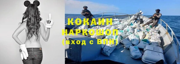 дживик Баксан