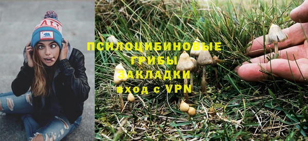 дживик Баксан